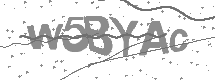 visual captcha